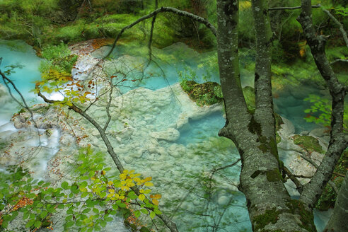 Spanien, Naturpark Urbasa y Andia, Fluss Urederra fließt zwischen Bäumen - DSGF000625
