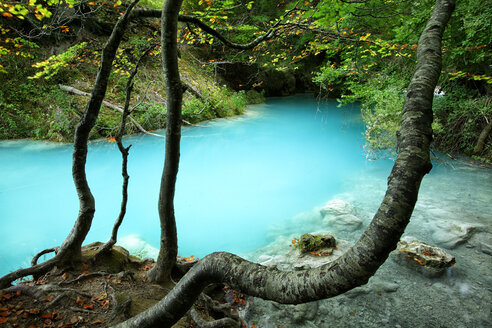 Spanien, Naturpark Urbasa y Andia, Fluss Urederra fließt zwischen Bäumen - DSGF000626