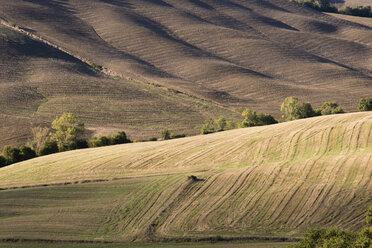 Italy, Tuscany, harvested fields in september - MYF000573