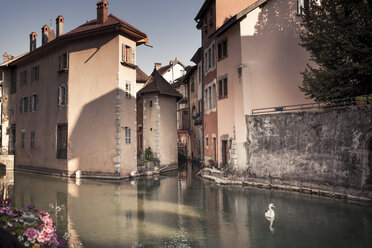 Frankreich, Savoyen, Annecy, Historisches Stadtzentrum, Kanal und Schwan - SBDF001319