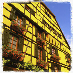 France, Alsace, Riquewihr, timber-framed house - GWF003180