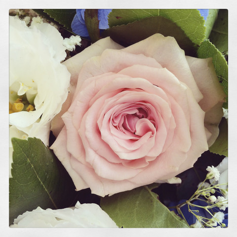 Blumenarrangement mit Rosen, lizenzfreies Stockfoto