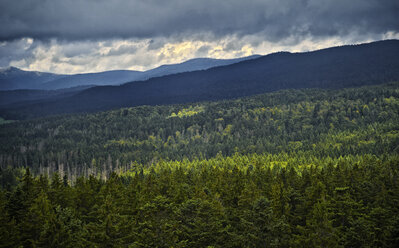 Deutschland, Bayerischer Wald, Blick vom Baumkronenpfad in Neuschönau - DIKF000119