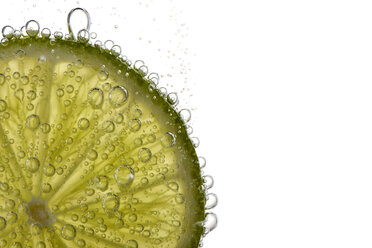 Slice of lime fruit with air bubbles in front of white background, close-up - MJOF000812