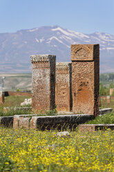 Türkei, Anatolien, Region Ostanatolien, Provinz Bitlis, Ahlat, Seldschukischer Friedhof, Selcuklu Mezarligi, Grabsteine - SIEF006074