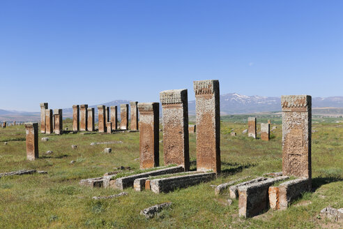 Türkei, Anatolien, Region Ostanatolien, Provinz Bitlis, Ahlat, Seldschukisches Gräberfeld, Selcuklu Mezarligi - SIEF006075