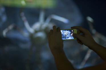 Woman's hands taking a picture with smartphone in an aquarium - ZEF001326