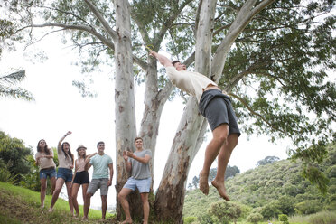 Group of friends cheering while teenager swinging at a tree - ZEF001239