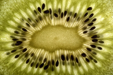Slice of kiwi, close-up - MJOF000818