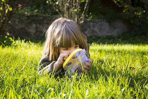 Little girl lying on a meadow with insect can watching fire bugs, Pyrrhocoridae stock photo