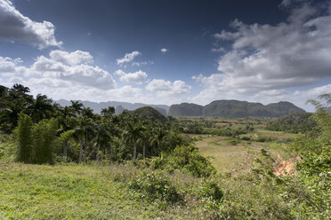 Cuba, Pinar del Rio, view to Vinales Valley with Mogotes in the background - NNF000038