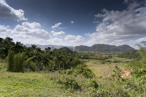 Kuba, Pinar del Rio, Blick auf das Vinales-Tal mit Mogotes im Hintergrund - NNF000038