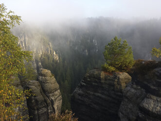 Deutschland, Sachsen, Sächsische Schweiz, Landschaft im Herbst - MJF001483