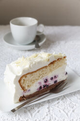 Blaubeer-Sahne-Torte - EVGF000922