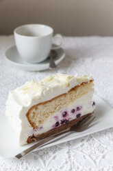 Blueberry cream cake - EVGF000922