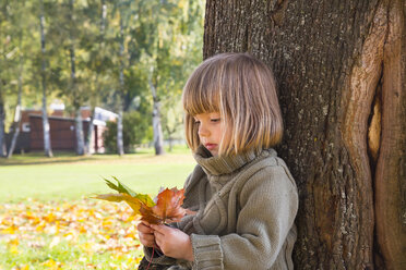 Little girl leaning at tree trunk looking at bunch of autumn leaves in her hands - LVF002010