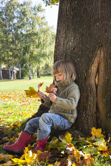 Kleines Mädchen lehnt an einem Baumstamm und betrachtet ein Bündel Herbstblätter in ihren Händen - LVF002004