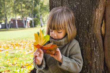 Little girl leaning at tree trunk looking at bunch of autumn leaves in her hands - LVF002011