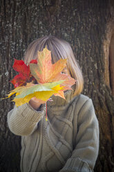 Little girl hiding her face behind bunch of autumn leaves - LVF002012