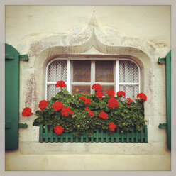 Switzerland, Gruyeres, house with flower box - GWF003223