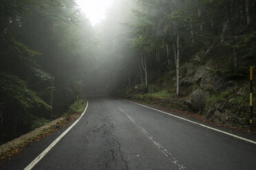 Italien, Toskana, Monte Amiata, Wald und leere Straße im Herbst - MYF000576