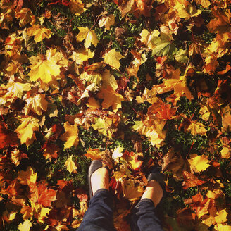 Woman's feet in autumn leaves - LVF002034