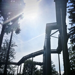 Canopy walk, Sankt Englmar, Bavaria, Germany - SARF000901