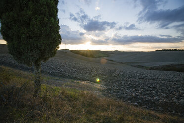 Italien, Toskana, Provinz Siena, Crete Senesi, Landschaft bei Sonnenuntergang - MYF000593