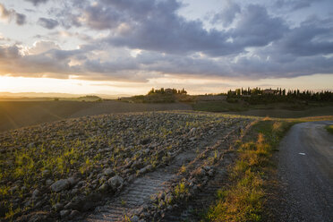 Italien, Toskana, Provinz Siena, Crete Senesi, Landschaft bei Sonnenuntergang - MYF000594