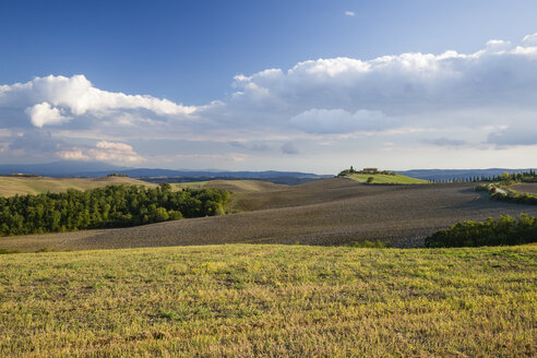 Italien, Toskana, Provinz Siena, Crete Senesi, Landschaft im Herbst - MYF000599