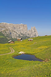 Italien, Südtirol, Seiser Alm mit Holzhütten und Schlerngruppe im Hintergrund - UMF000724