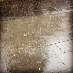 Rain on street and pavement - GWF003197