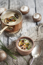 Cooking pot and bowl of mushroom cream soup with chive and fried mushroom - SBDF001342