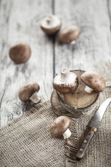 Braune Champignons, Agaricus, und ein Messer auf Baumkernen, Jute und Holz - SBDF001348