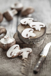 Sliced brown button mushroom, Agaricus, on tree pits and jute - SBDF001349