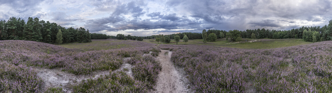 Deutschland, Niedersachsen, Gifhorn, Gifhorner Heide, Panorama - PVCF000125