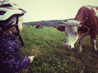 Girl feeding cow - ALF000237