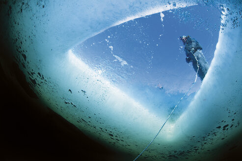 Russia, Arctic Circle Dive Centre, polar circle, guide holding tether for ice diving - GNF001313