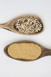 Two wooden spoons of organic amaranth, Amaranthus, and organic quinoa grains, Chenopodium quinoa, on white background - LVF002047