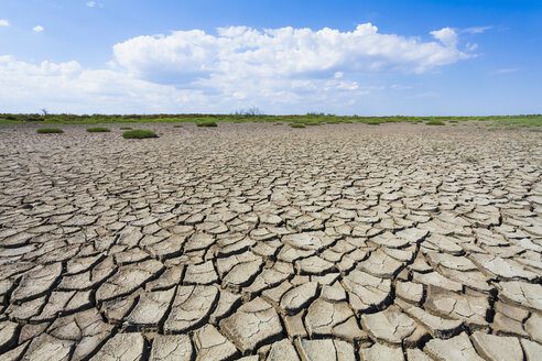 France, Provence, Camargue, view to eroded soil at marshland - WDF002684