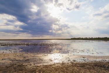 Frankreich, Provence, Camargue, Blick auf den Etang de Vaccares - WDF002685