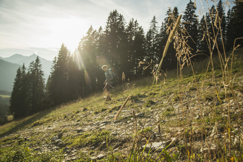 Österreich, Tirol, Tannheimer Tal, junger Mann wandert im Sonnenlicht auf Almwiese, lizenzfreies Stockfoto