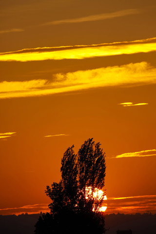 Germany, Autum sun in the evening stock photo