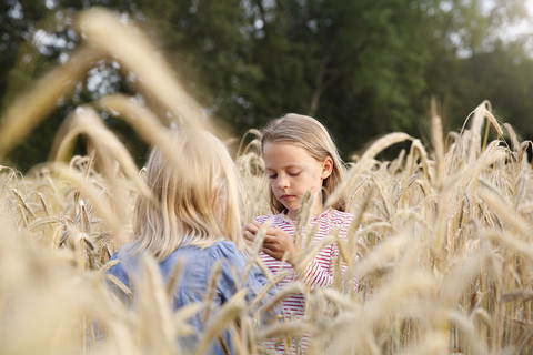 Two girls playing in a cornfield stock photo
