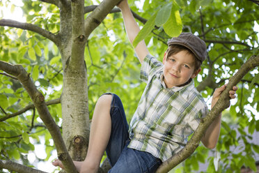 Porträt eines kleinen Jungen, der auf einen Baum klettert - FKIF000044