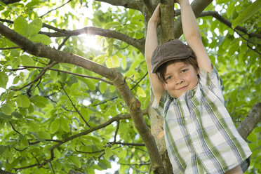 Porträt eines kleinen Jungen, der auf einen Baum klettert - FKIF000045
