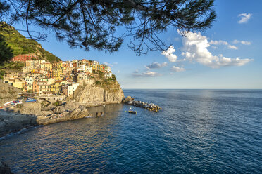 Italien, Ligurien, Cinque Terre, Manarola - PUF000106