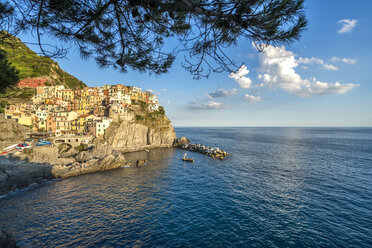 Italy, Liguria, Cinque Terre, Manarola - PUF000106