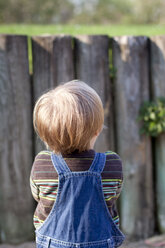 Little girl waiting in front of wooden fence, back view - JFEF000469