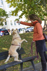 Woman playing with her dog - JFE000513